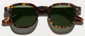 MOSCOT MOMZA SUN TORTOISE 49-23-148
